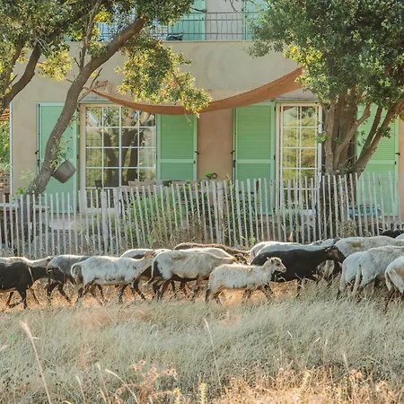 Holiday home Di Pigna: Twin With Private Pools Near Algajola (Corsica)