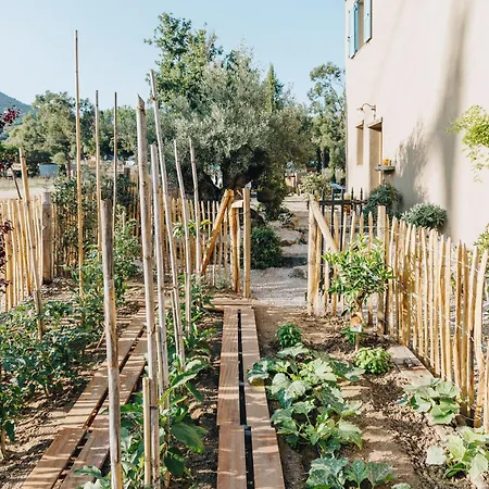 Holiday home Di Pigna: Twin With Private Pools Near