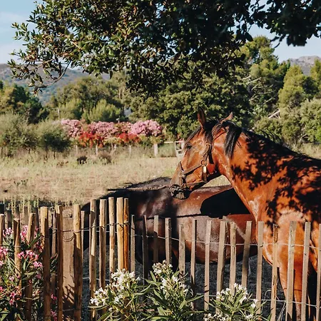 Holiday home Di Pigna: Twin With Private Pools Near Algajola (Corsica)