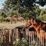 Holiday home Di Pigna: Twin With Private Pools Near Algajola (Corsica)