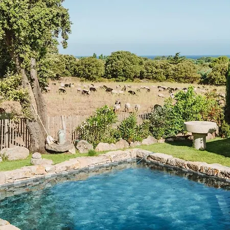 Ferienhaus Di Pigna Magnifique Avec Piscine, De 2 A 6 Personnes