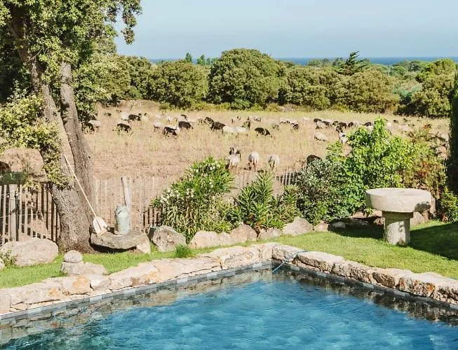 Ferienhaus Di Pigna Magnifique Avec Piscine, De 2 A 6 Personnes