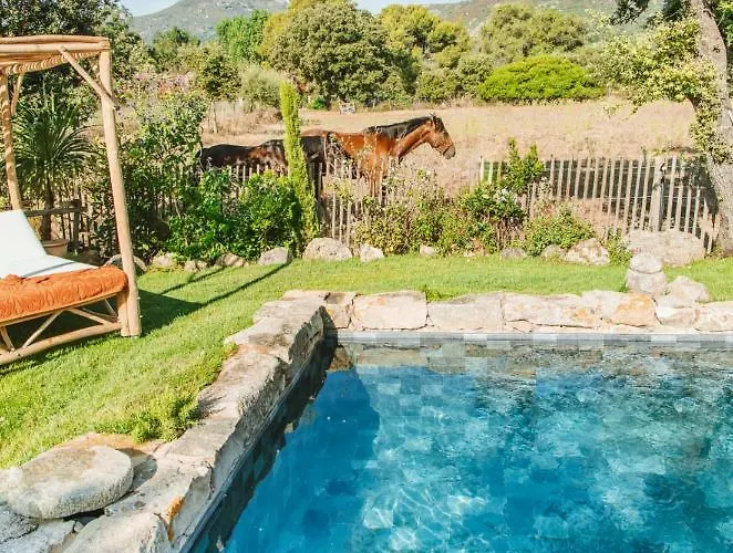 Di Pigna Magnifique Avec Piscine, De 2 A 6 Personnes Algajola (Corsica)