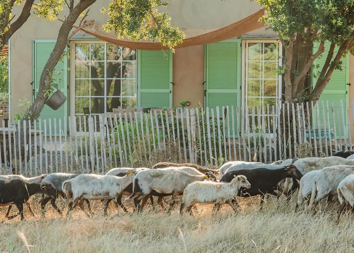 Ferienhaus Di Pigna Magnifique Avec Piscine, De 2 A 6 Personnes Algajola (Corsica)