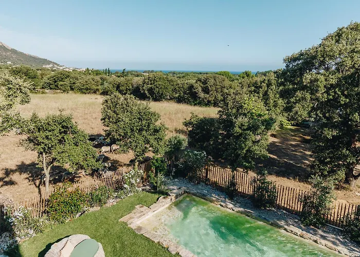 Hébergement de vacances Résidence Di Pigna Magnifique Avec Piscine, De 2 à 6 Personnes Algajola (Corsica)
